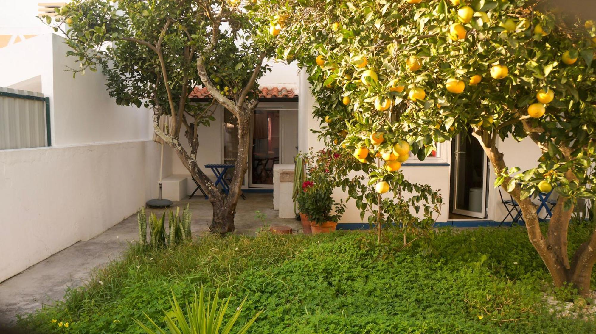 Lemon Tree House By Stay In Alentejo 米尔芳提斯城 外观 照片